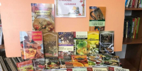 Книжная выставка «Книжные новинки» - Судакская ЦБС